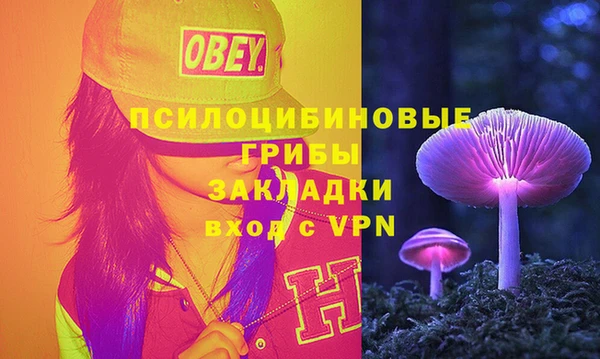 ALPHA-PVP Алексеевка