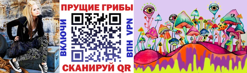 как найти закладки  Макушино  OMG маркетплейс  Галлюциногенные грибы мицелий 