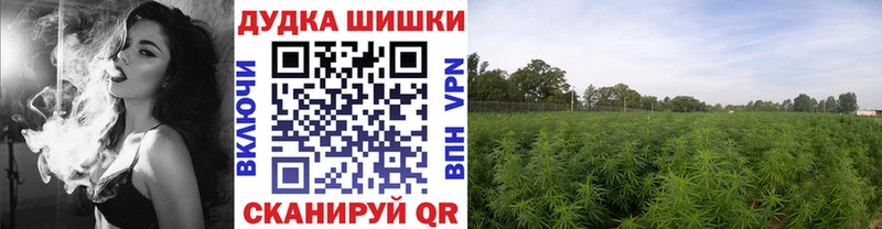 продажа наркотиков  Макушино  OMG вход  Канабис SATIVA & INDICA 